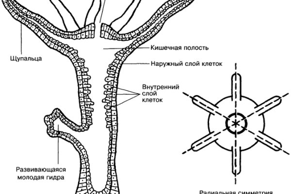 Ссылка кракен kr2web in