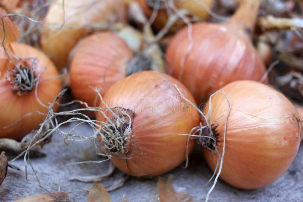 Kraken onion сайта