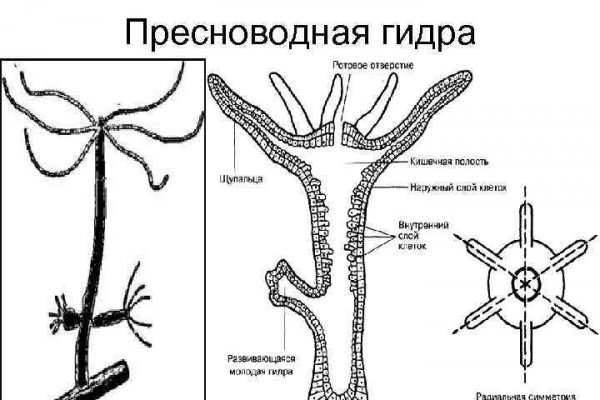 Кракен нарко